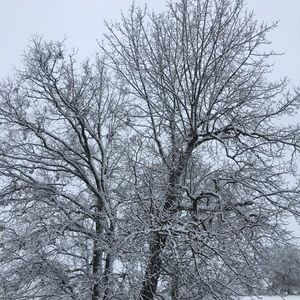 Meet your Posher, Kaybri